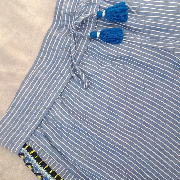 Vineyard Vines blue striped embroidered shorts, small - Picture 2 of 10